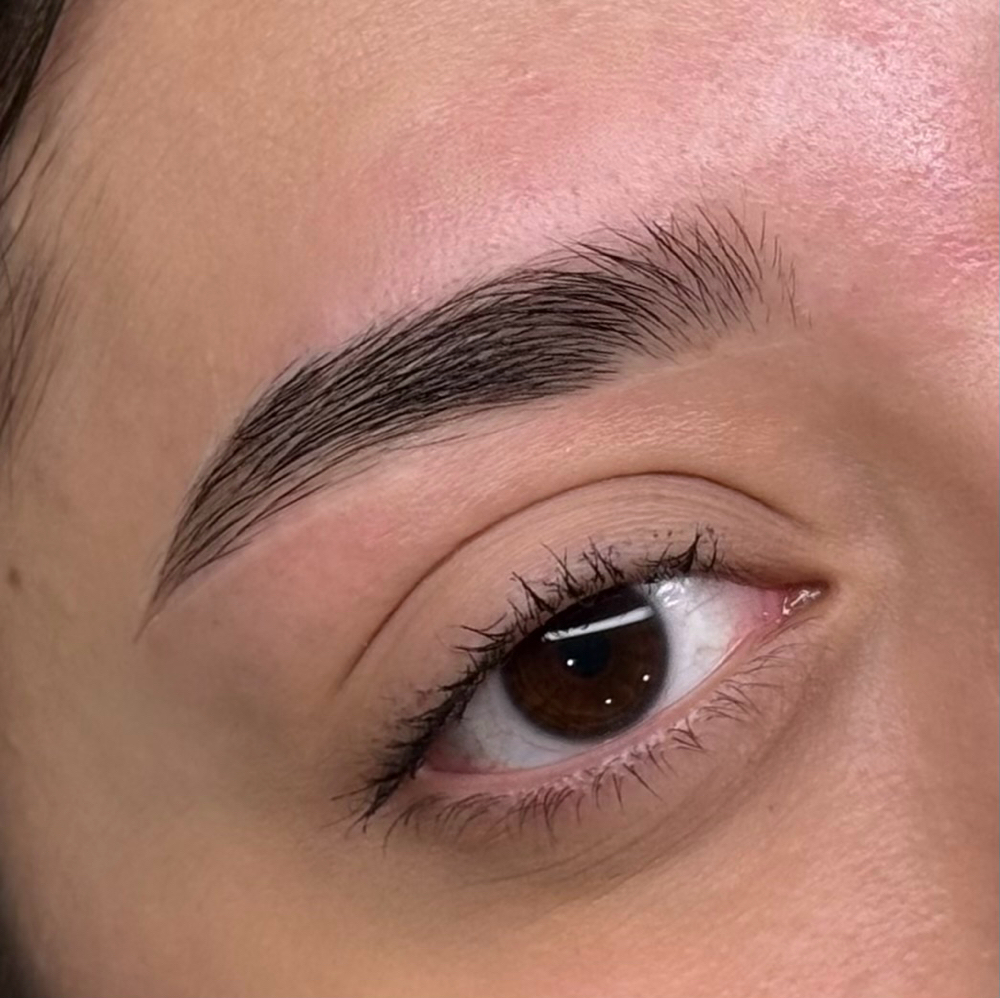 Brow Shape Wax at Solashes Beauty Studio in Garland, TX