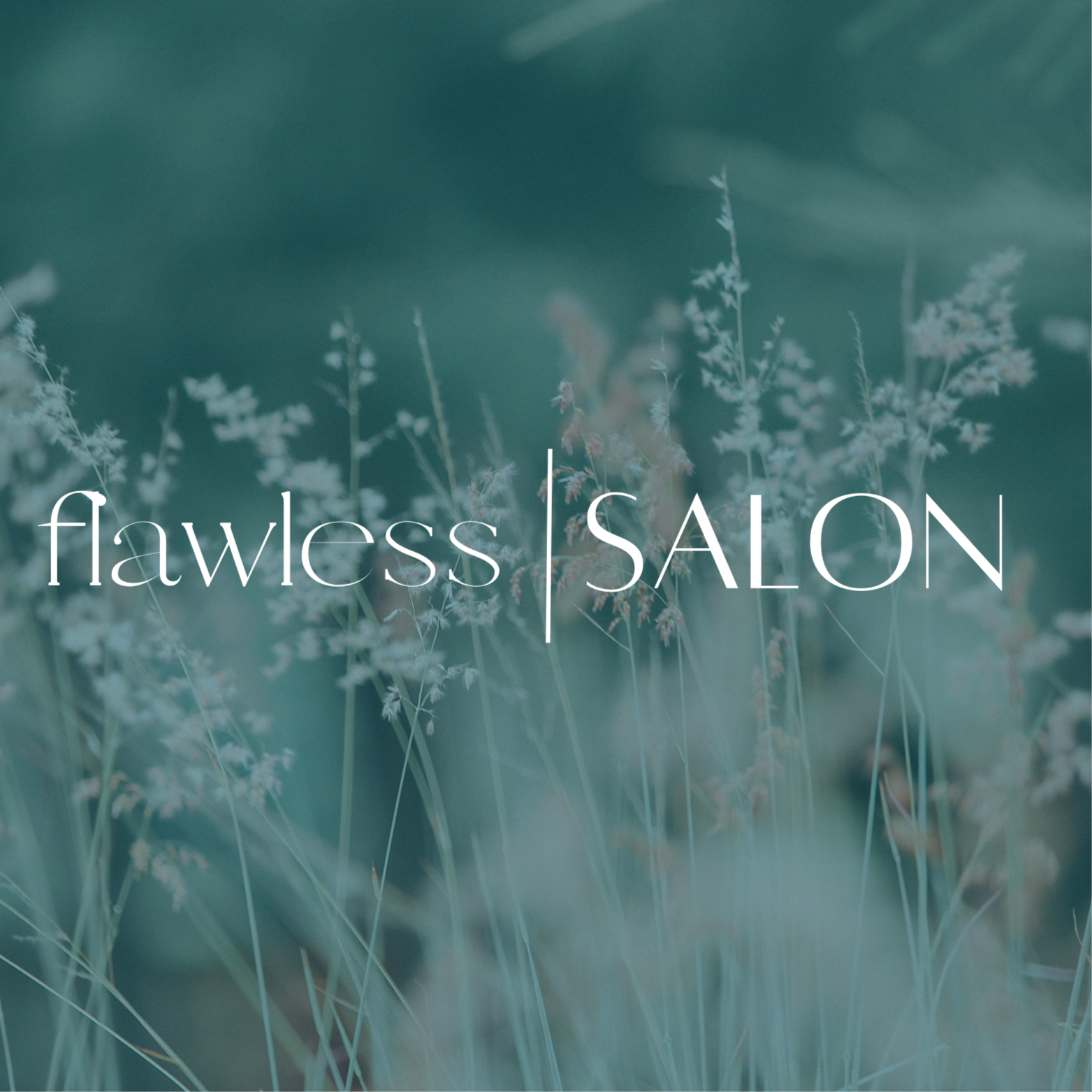 All Over Color at Flawless Salon in Watkinsville, GA