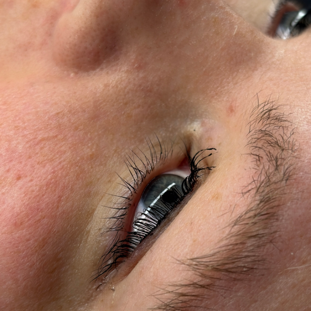 Bottom tint (ADD ON ONLY) at Bae's Beauty Esthetics in Milan, TN