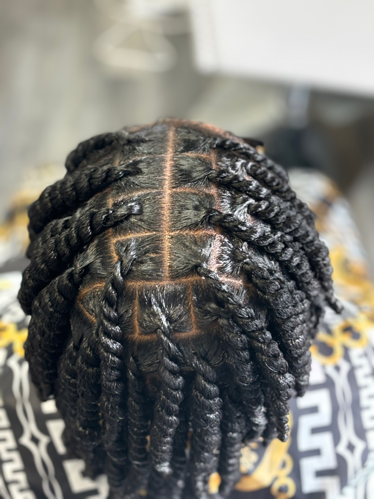 Wet Twist Out / Two strand Twist