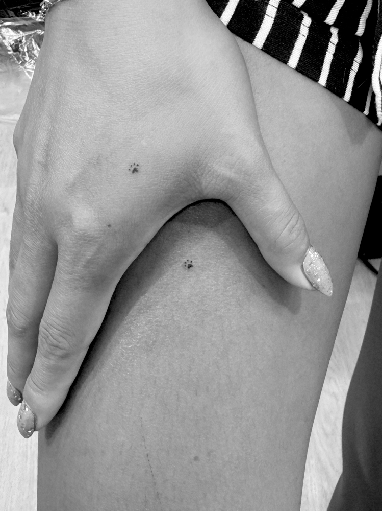 Add On Heart/Star/Paw Freckles