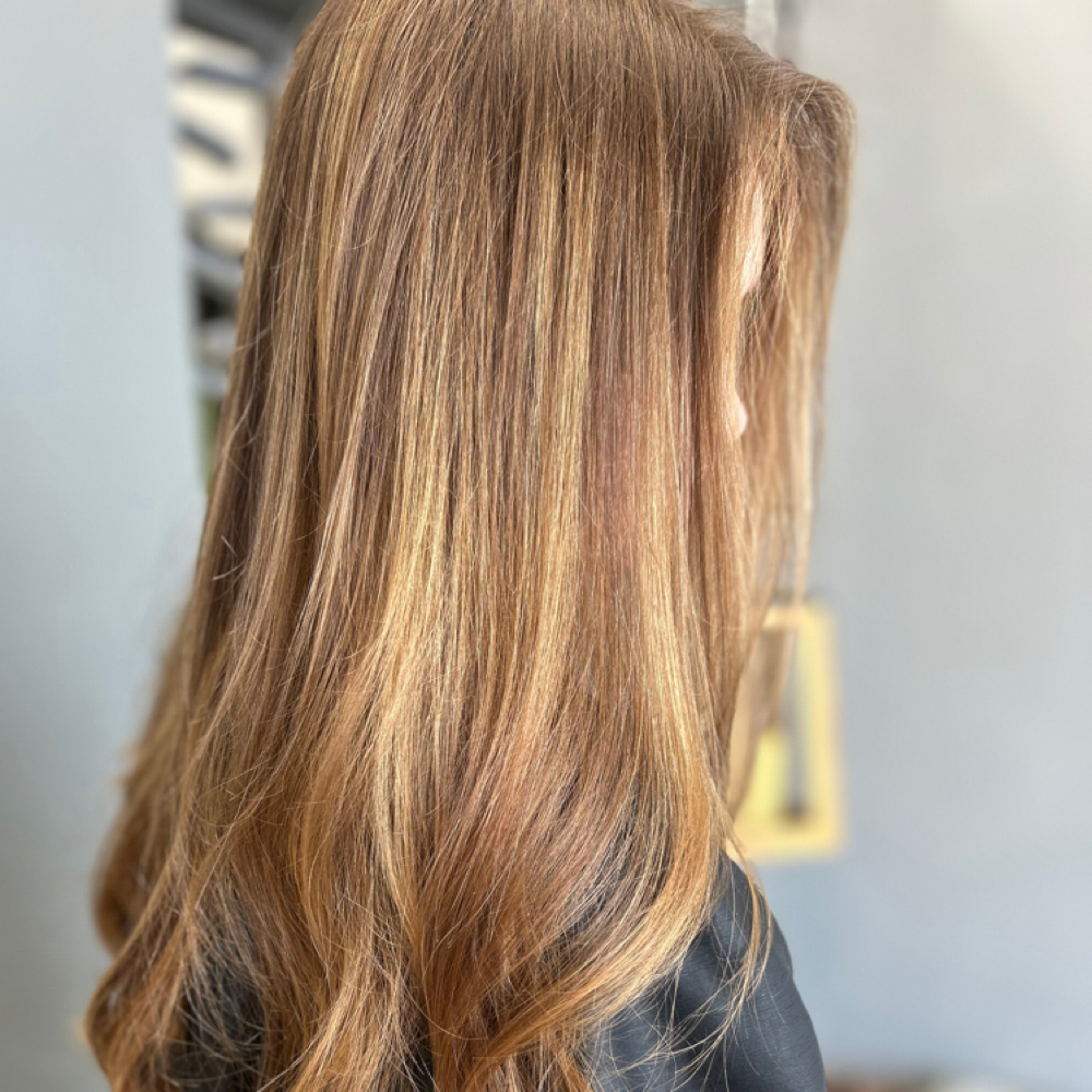 Balayage Refresh at Beauty Realized in Holland, MI