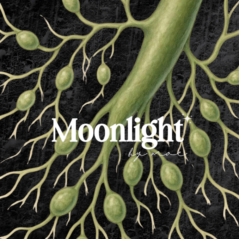 120 Minutes at Moonlight by Moe in Twin Falls, ID