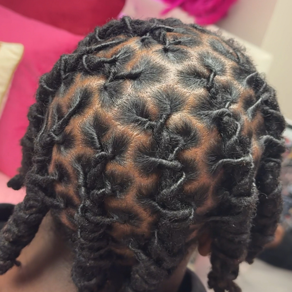 Retwist at Touched.ByNauti in Hazel Crest, IL