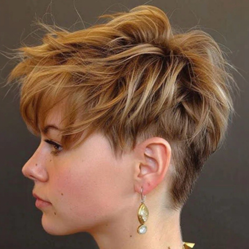 Pixie Cut/Shampoo at HAIR BY ASHLIE in Hurst, TX