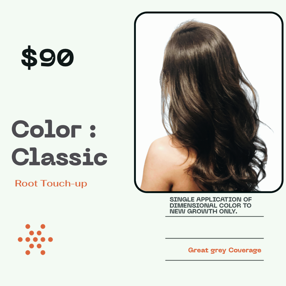 COLOR:ROOT TOUCHUP