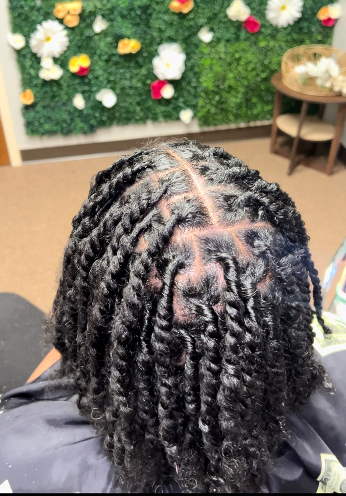 LargeTwo Strand Twist Starter Locs