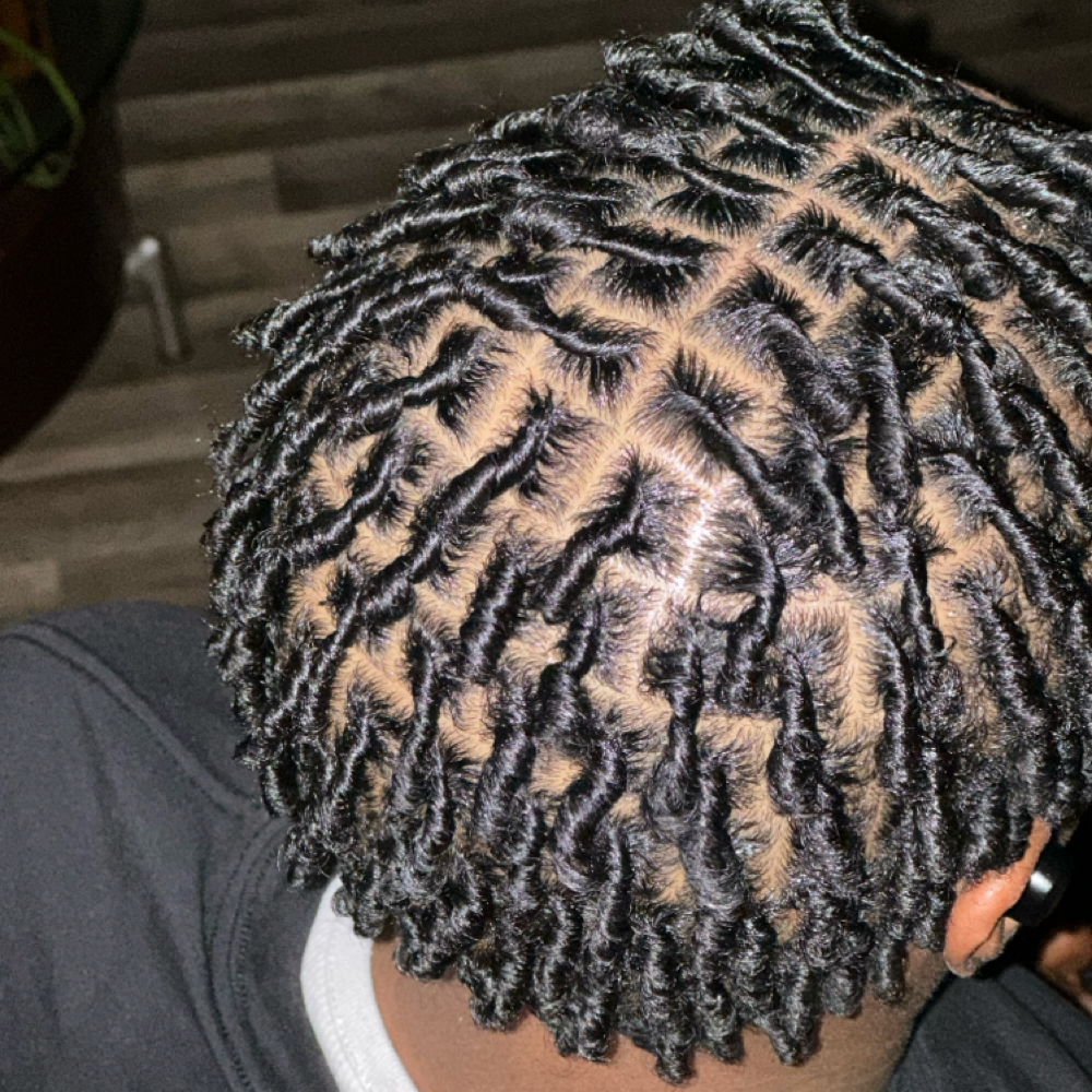 STARTER LOCS at QC Locs & Lashes in Fort Worth, TX