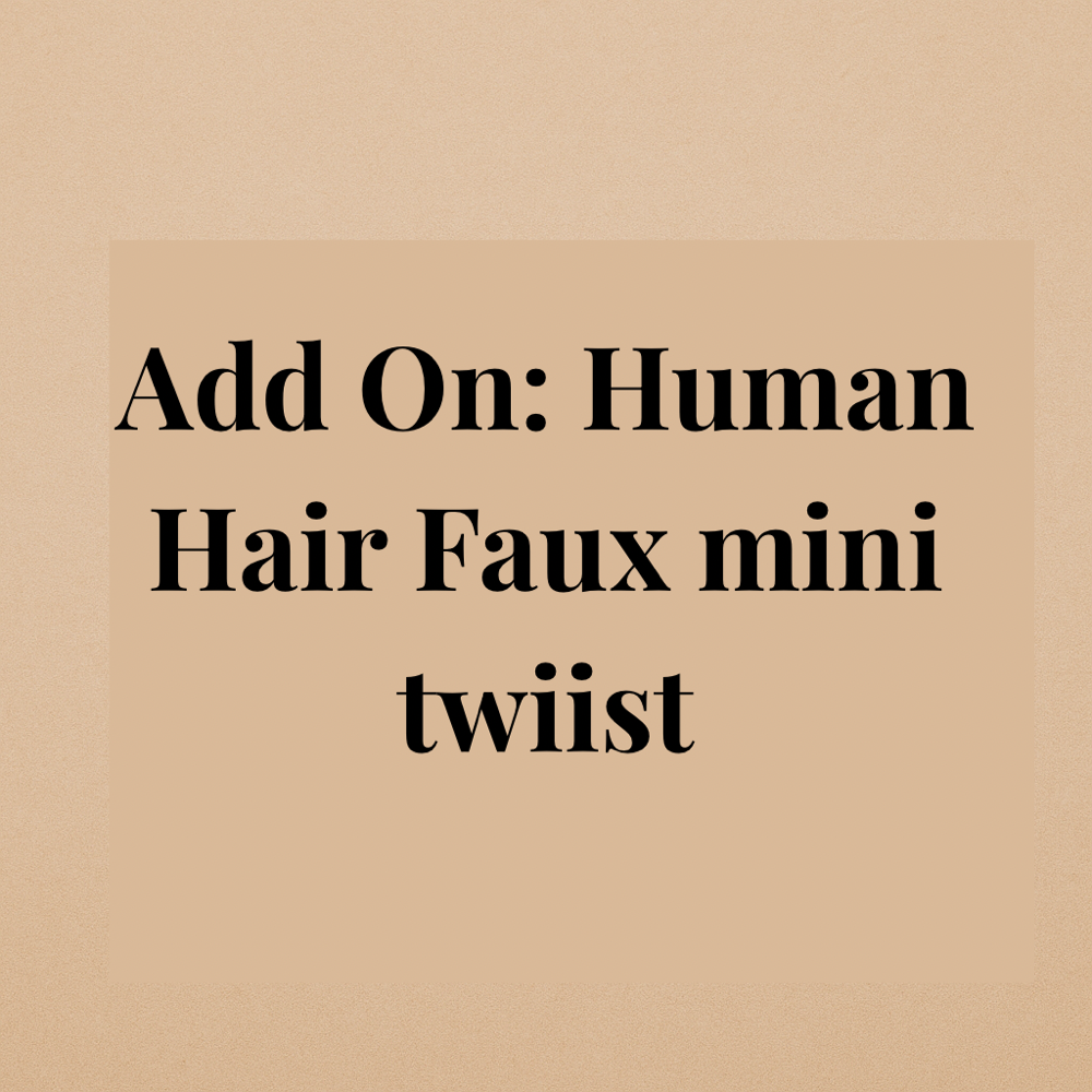 Add On: Human Hair Faux mini twiist
