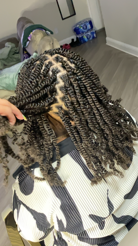 Mini Twists