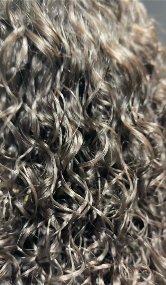 Classic Haircut | Transform & Treat