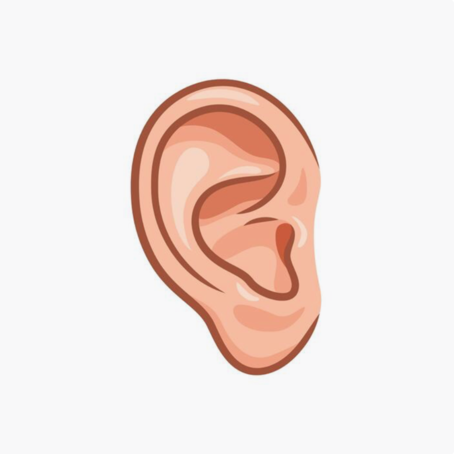 Ears at Nuda Wax Studio LLC in Cape Coral, FL