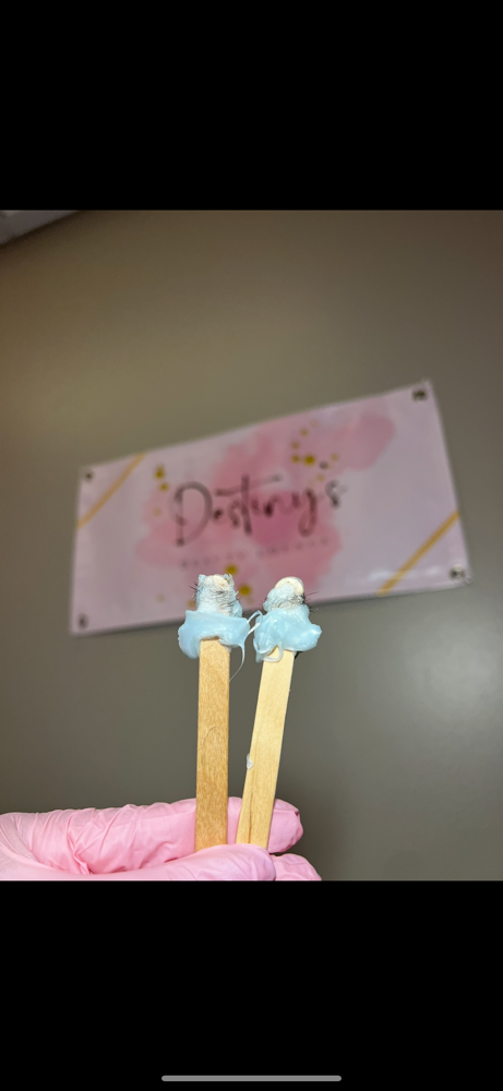 Nose Wax at Destiny’s Beauty Lounge in Long Beach, CA