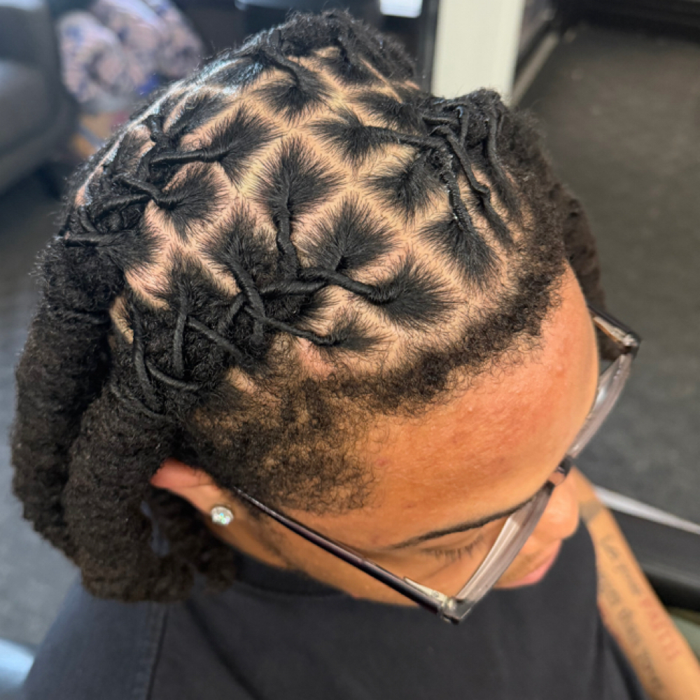 Retwist Advance Styles at Natural Identity in Buffalo, NY