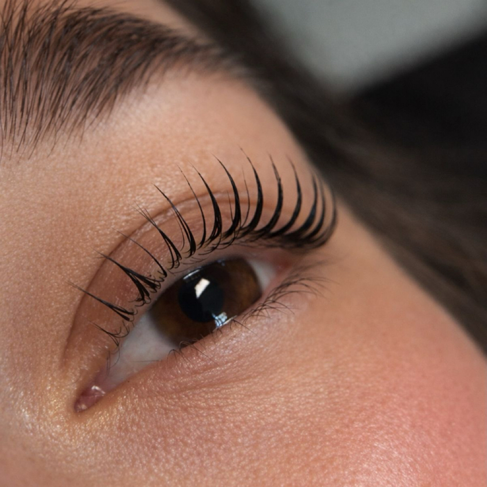 Lash Lift & Tint at Elo Aesthetics Co. in Palm Beach Gardens, FL