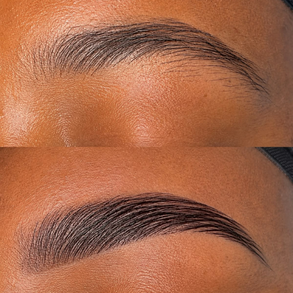 Brow Lamination + Tint at BleuReign Skin + Spa in Grand Prairie, TX