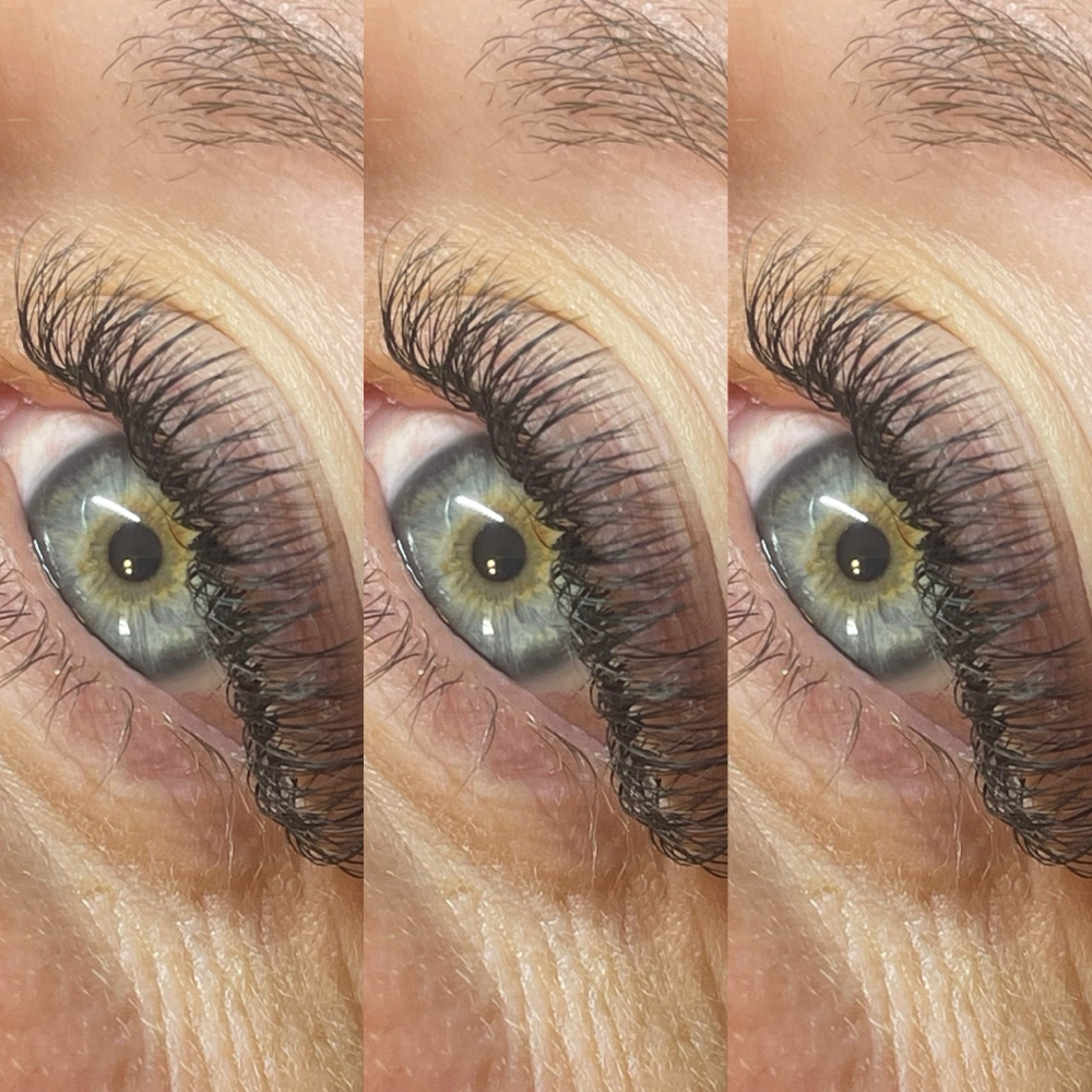 Classic Lashes