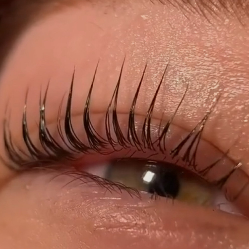 Korean Lash Lift at Velvet Lash Lounge in Denison, TX