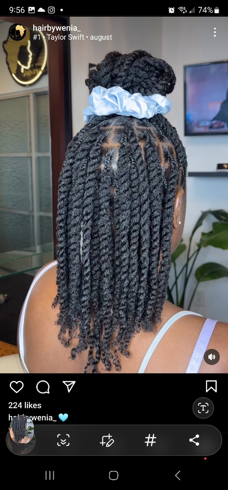 2 Strand Individual Twist at The Beauty Agenda in Rockingham, NC