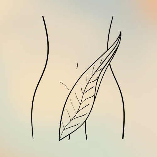 Brazilian at The Glow Nook at Bernadette's Day Spa in Amesbury, MA