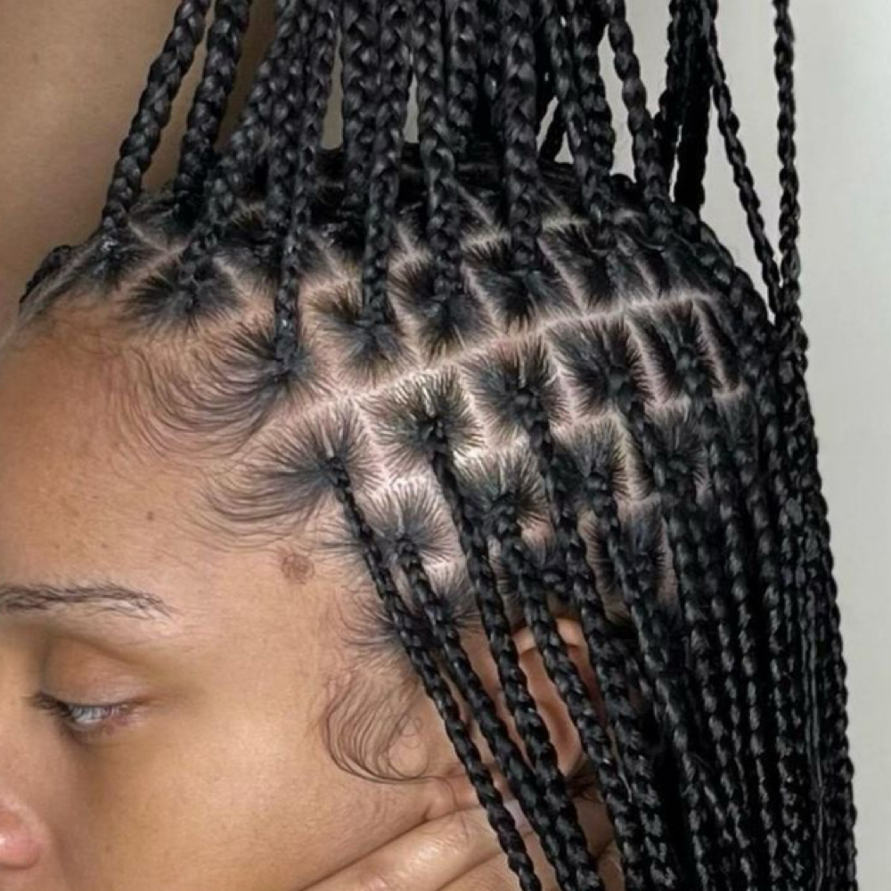 Small Box Braids at Bare Down There in Fort Collins, CO