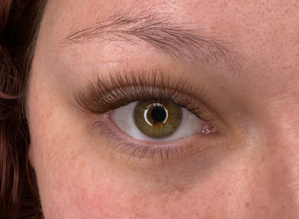 Brown Lashes Three Week Fill