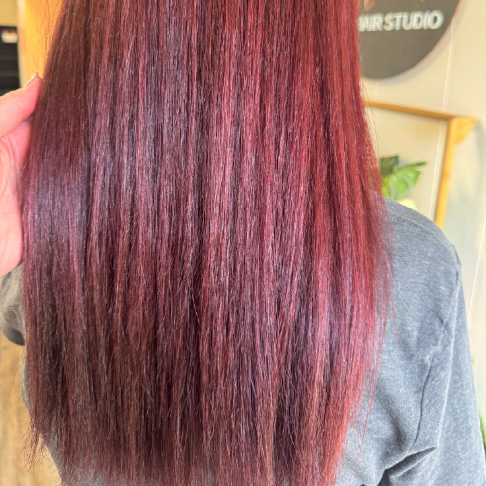 Dry Cut at Shianne Royal at Bloom Hair Studio in Enid, OK