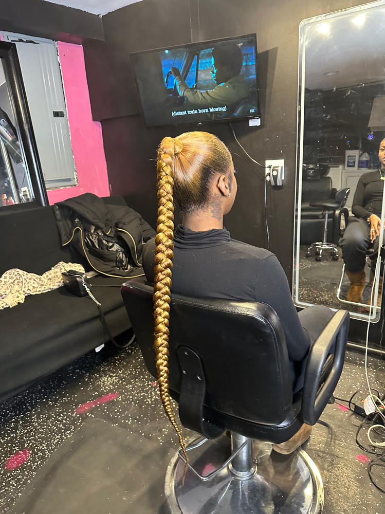 Braided Pony