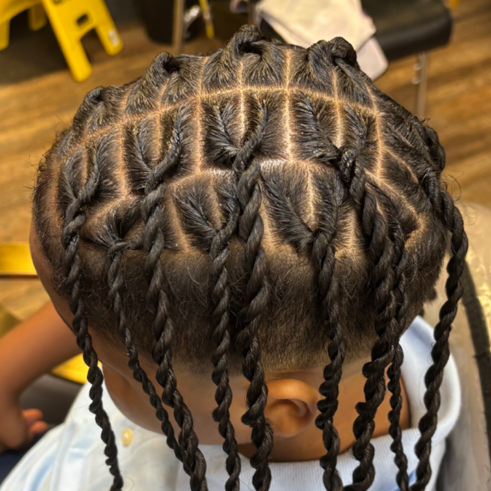 2 Strand Flat Twist at JL Luxe Co in North Versailles, PA