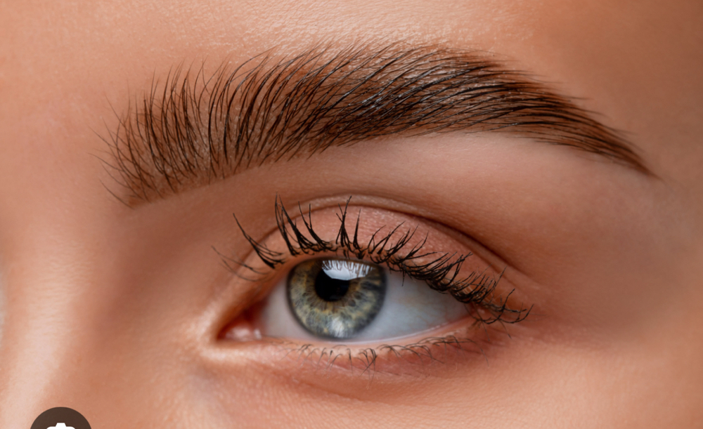 Brow Lamination at Skylar Williams in Bruce, MS