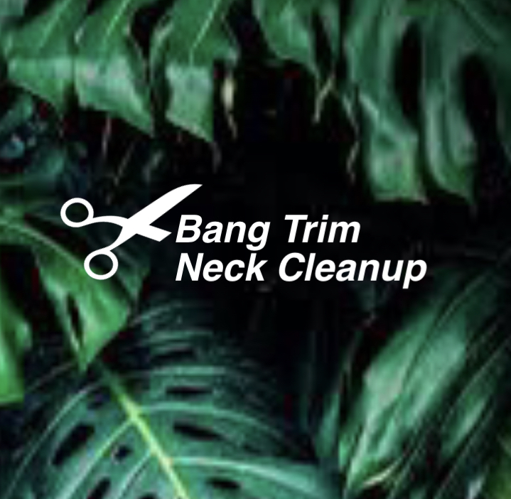 Bang Trim • Neck Cleanup