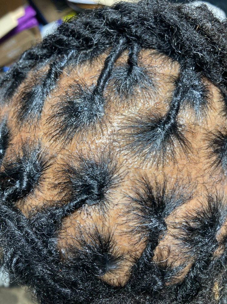 Dread Retwist Detoxic & Style