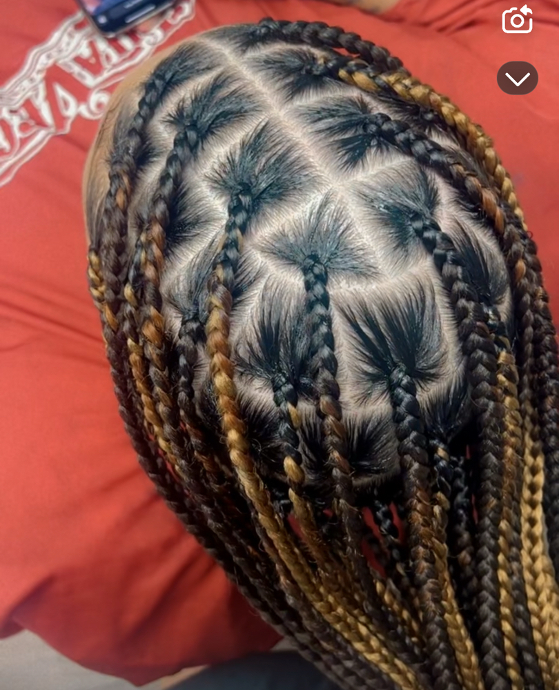Large Knottless Box Braids