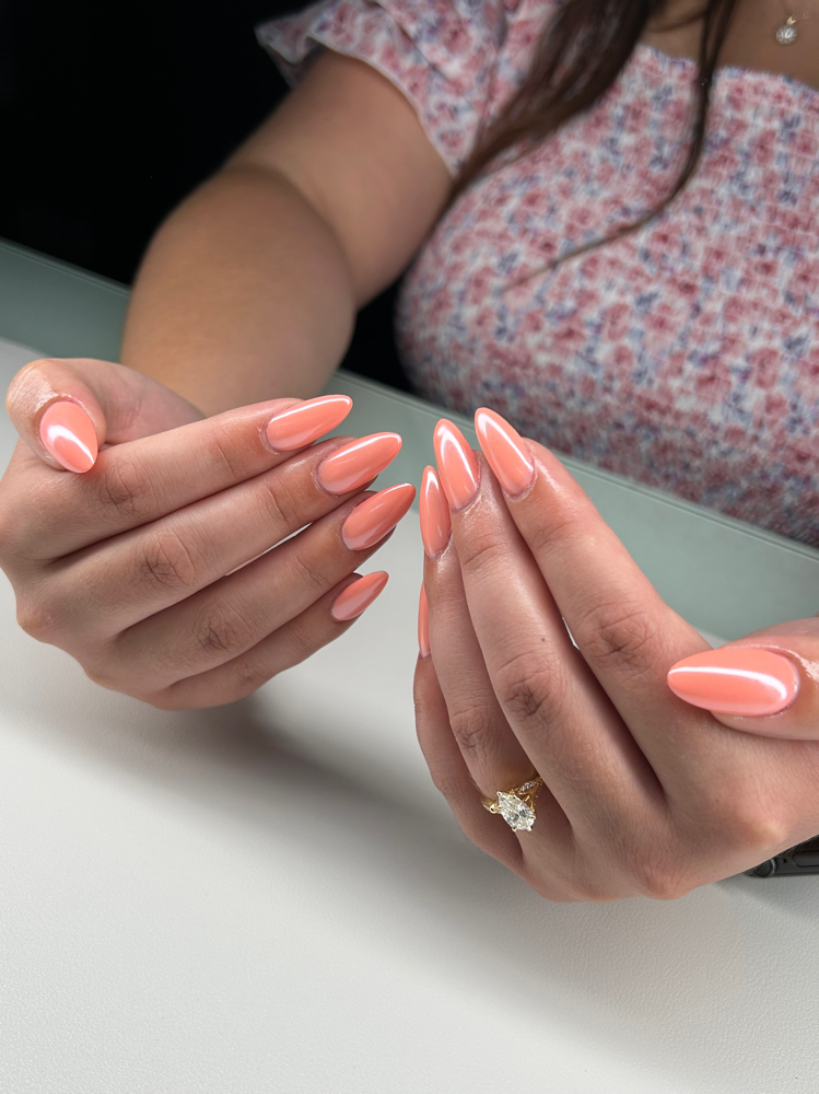 Gelx Full Set