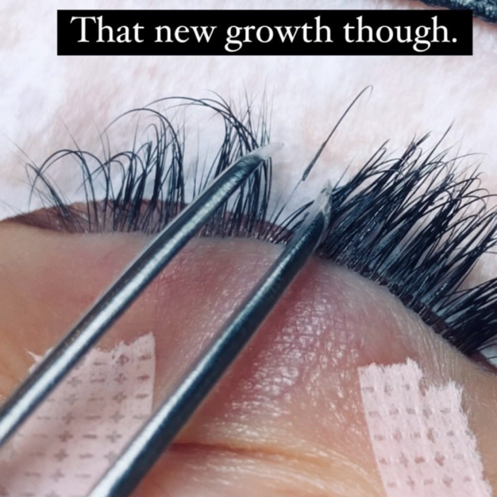 2 Week Classic Fill at — Lashing It Up — in Long Beach, CA