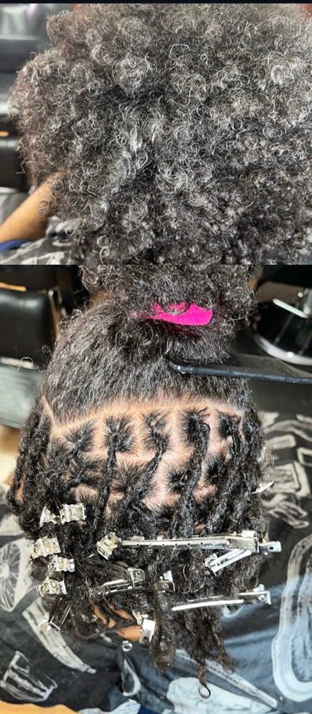 Starter Insta Locs