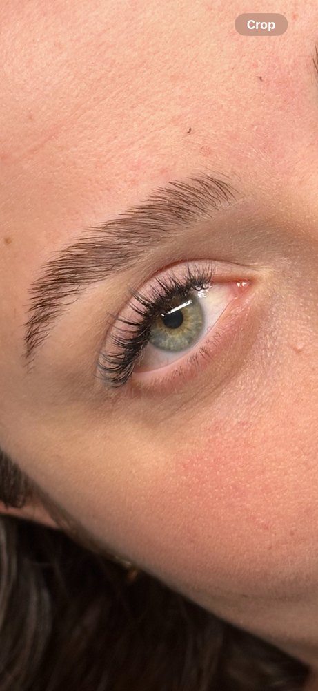Angel Set / Wispy at GR beauty bar Lashes&brows in Alexandria, VA