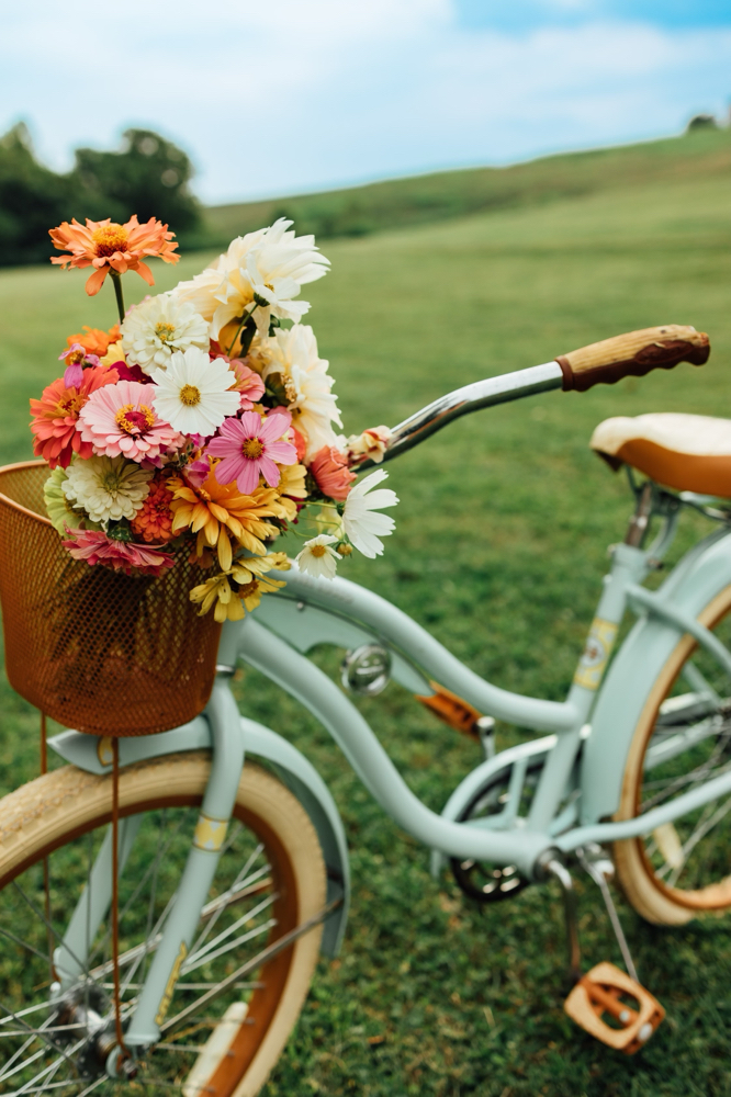 Wedding Trial