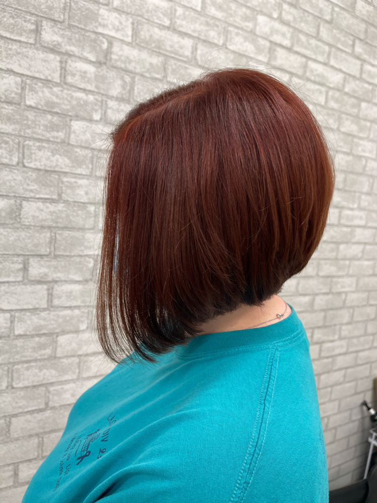 Root Touch-up & Haircut