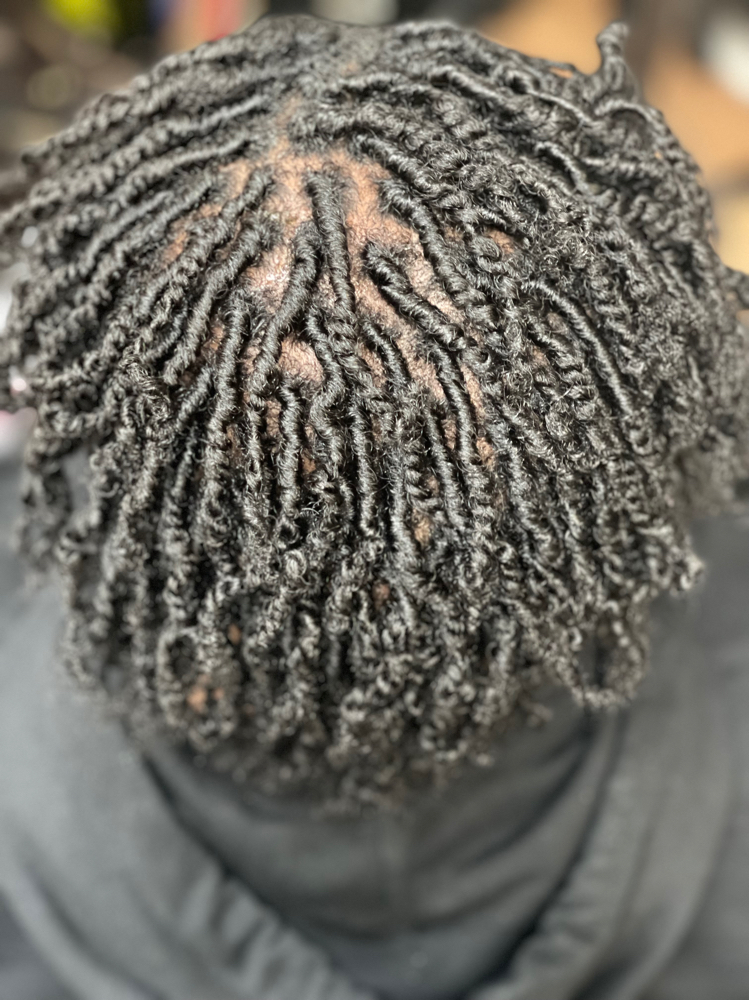 Starter With Two Strand Twist Ends