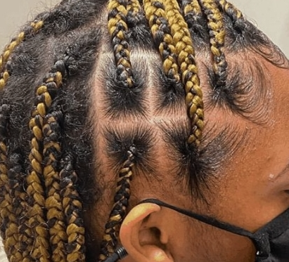 Braid Hairline Touch Up / Refresher