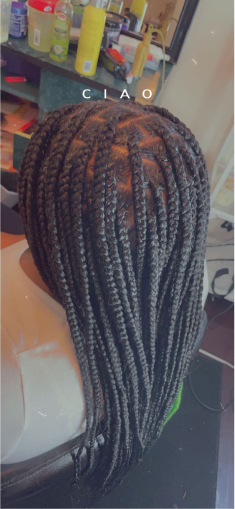 Knotless Braids (medium) at Stella.slayss in St. Peters, MO