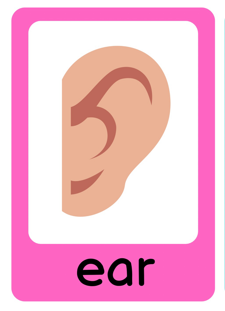 Ear Wax