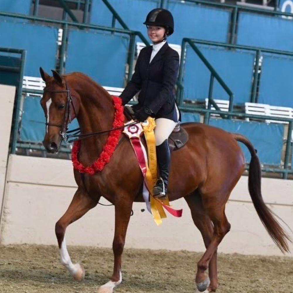 English Lessons at Lhranch in Avon Park, FL