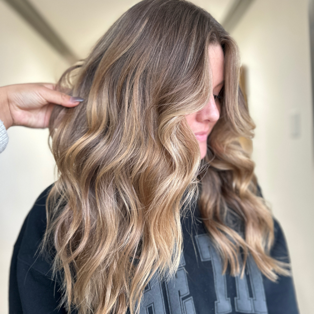Dry Hair Cut at The Beauty Vault in Knoxville, TN