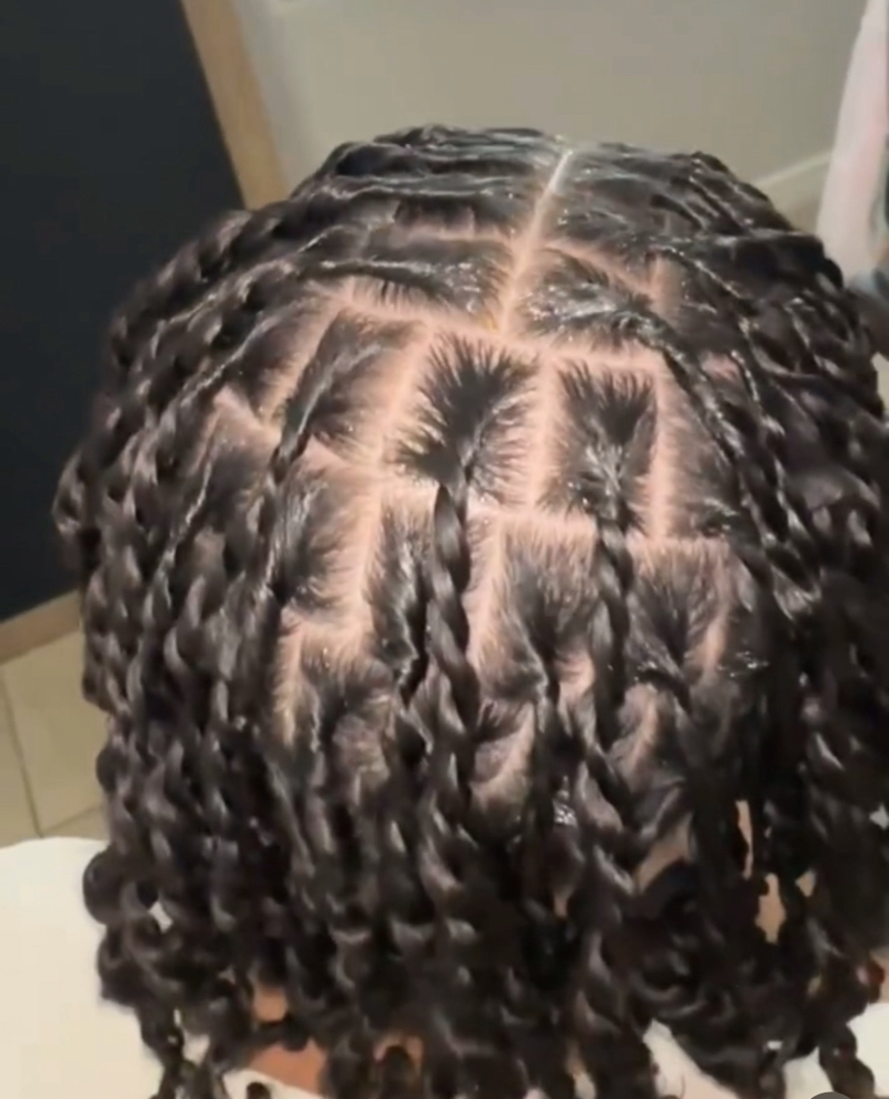 Starter Locs