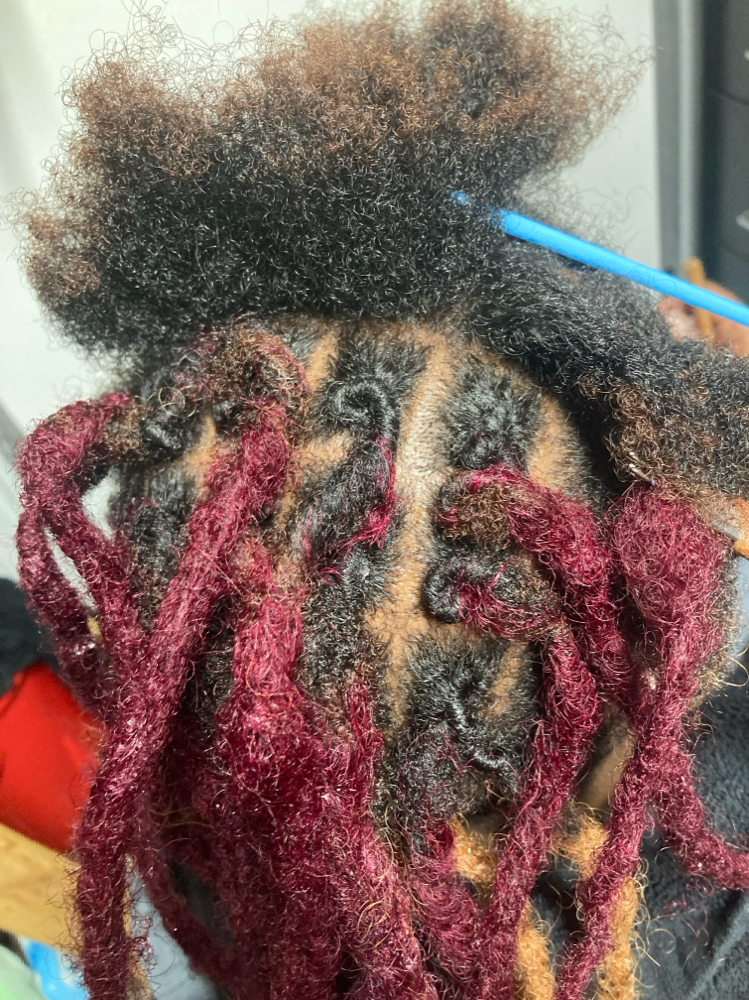 Dread Extension Install W/out Hair