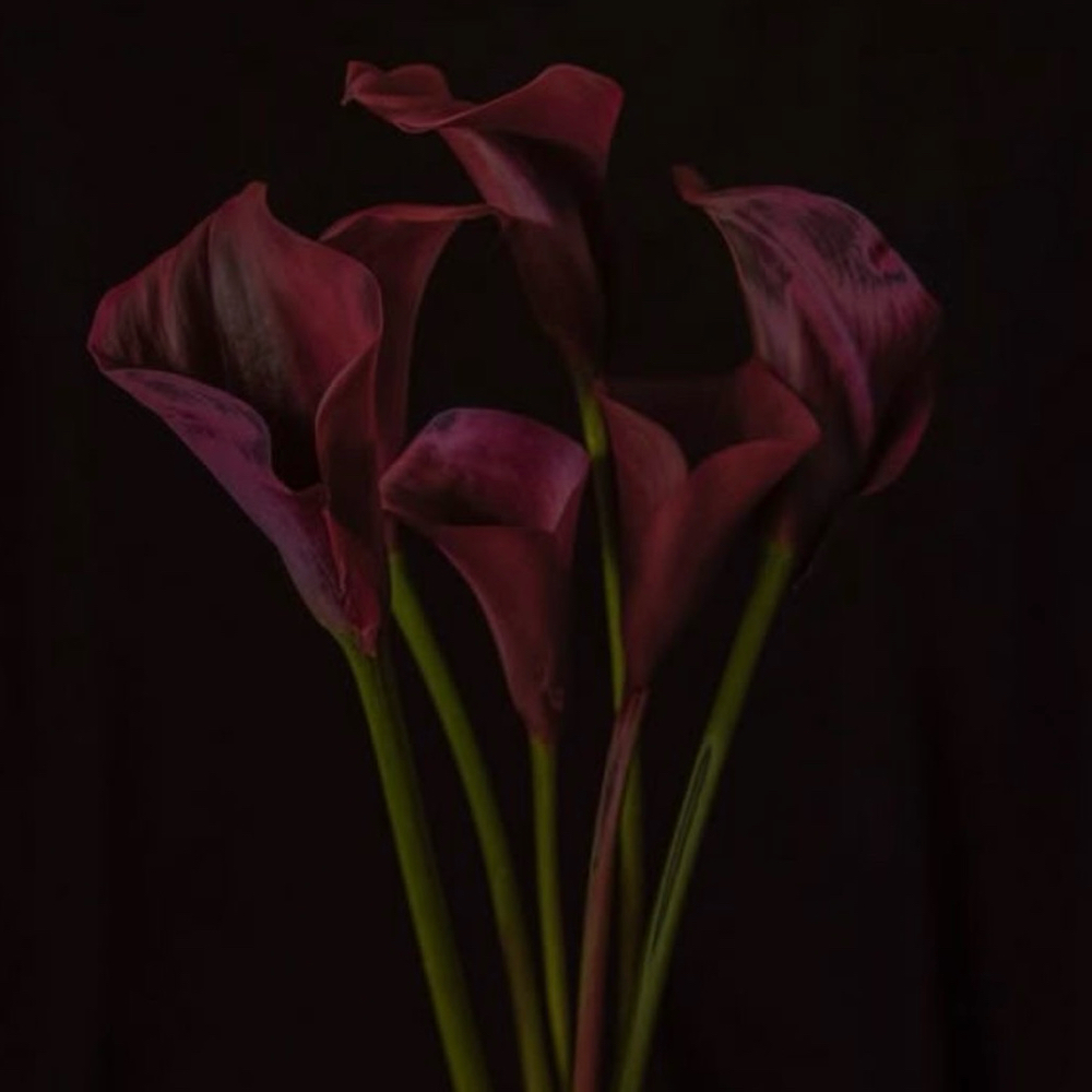 BIKINI at SLICKED in Lufkin, TX