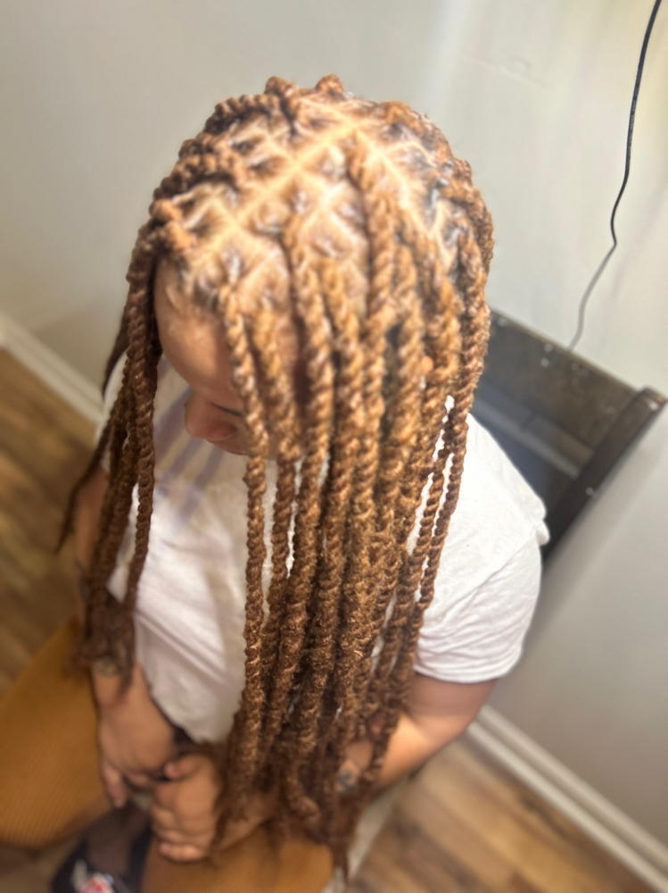 Loc Cover Up -Braids, Or Twist