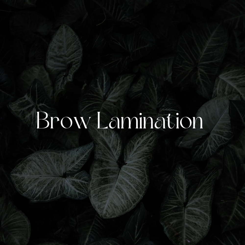 Brow Lamination